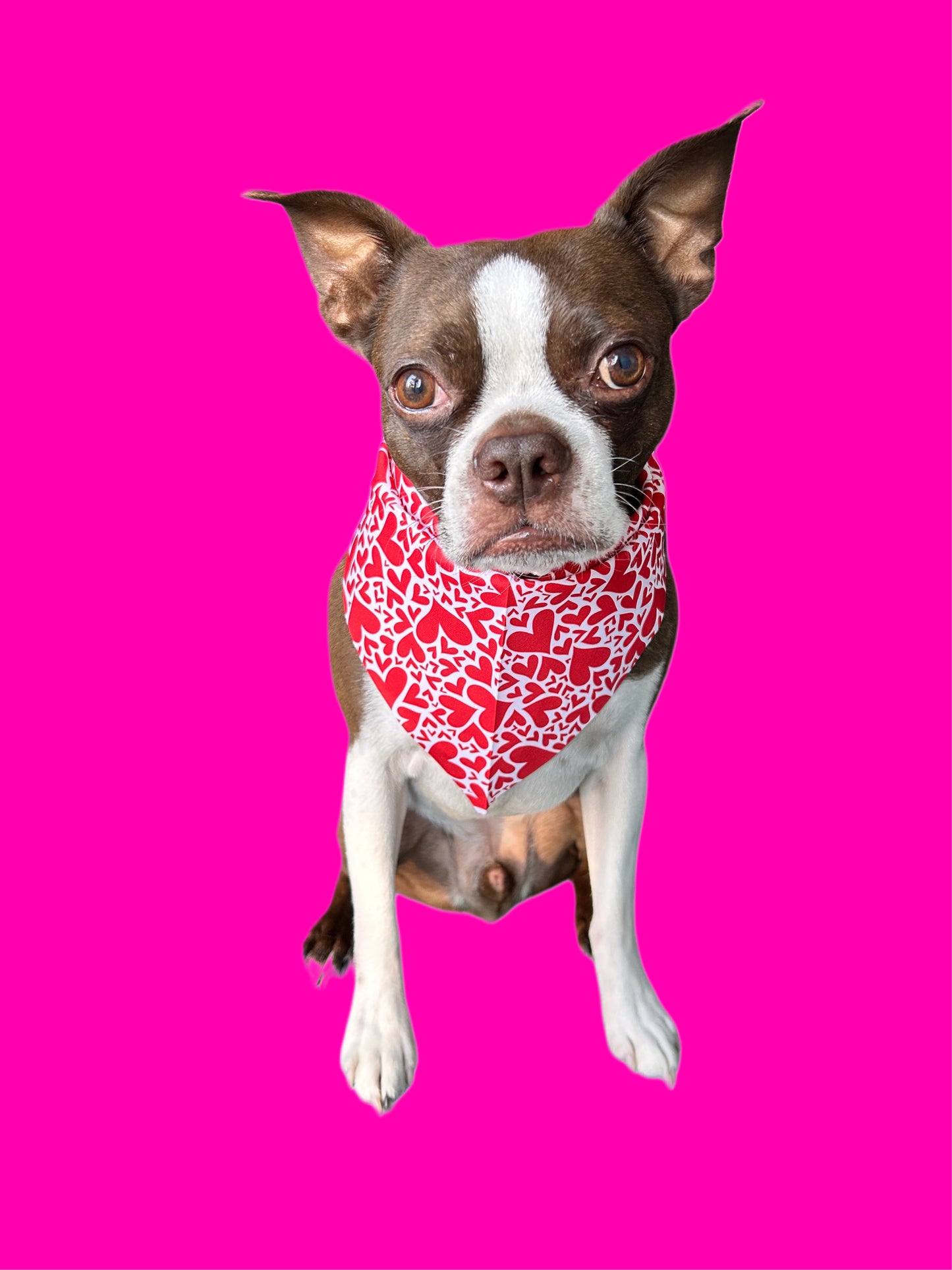 Valentine’s Day Pet Bandanas