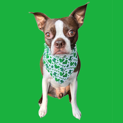 Saint Patrick’s Day Pet Bandanas