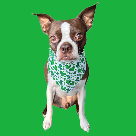 Saint Patrick’s Day Pet Bandanas